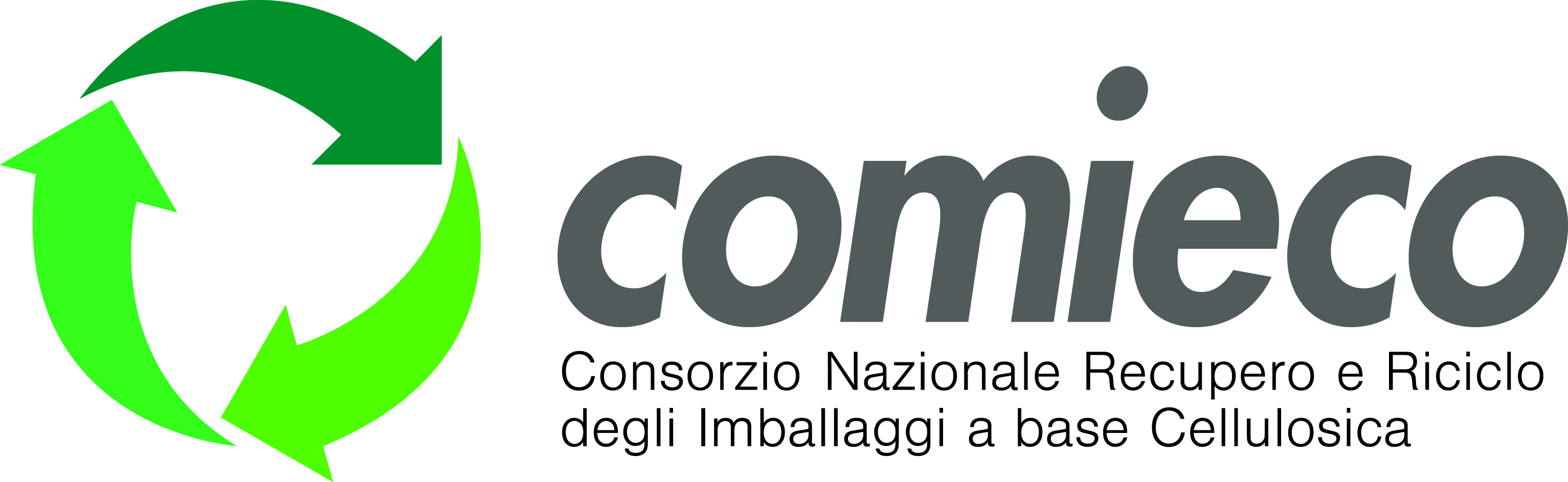 LOGO COMIECO 2008